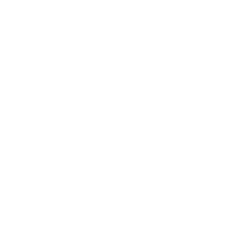 void_Logo